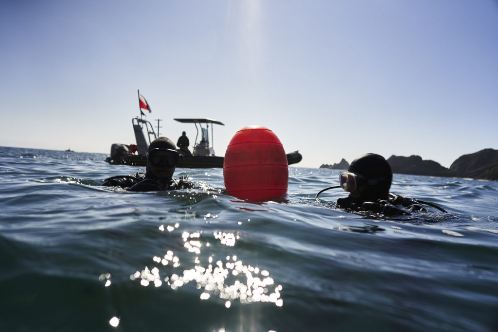 Scuba divers resting near a buoy before starting an urchin and kelp survey dive