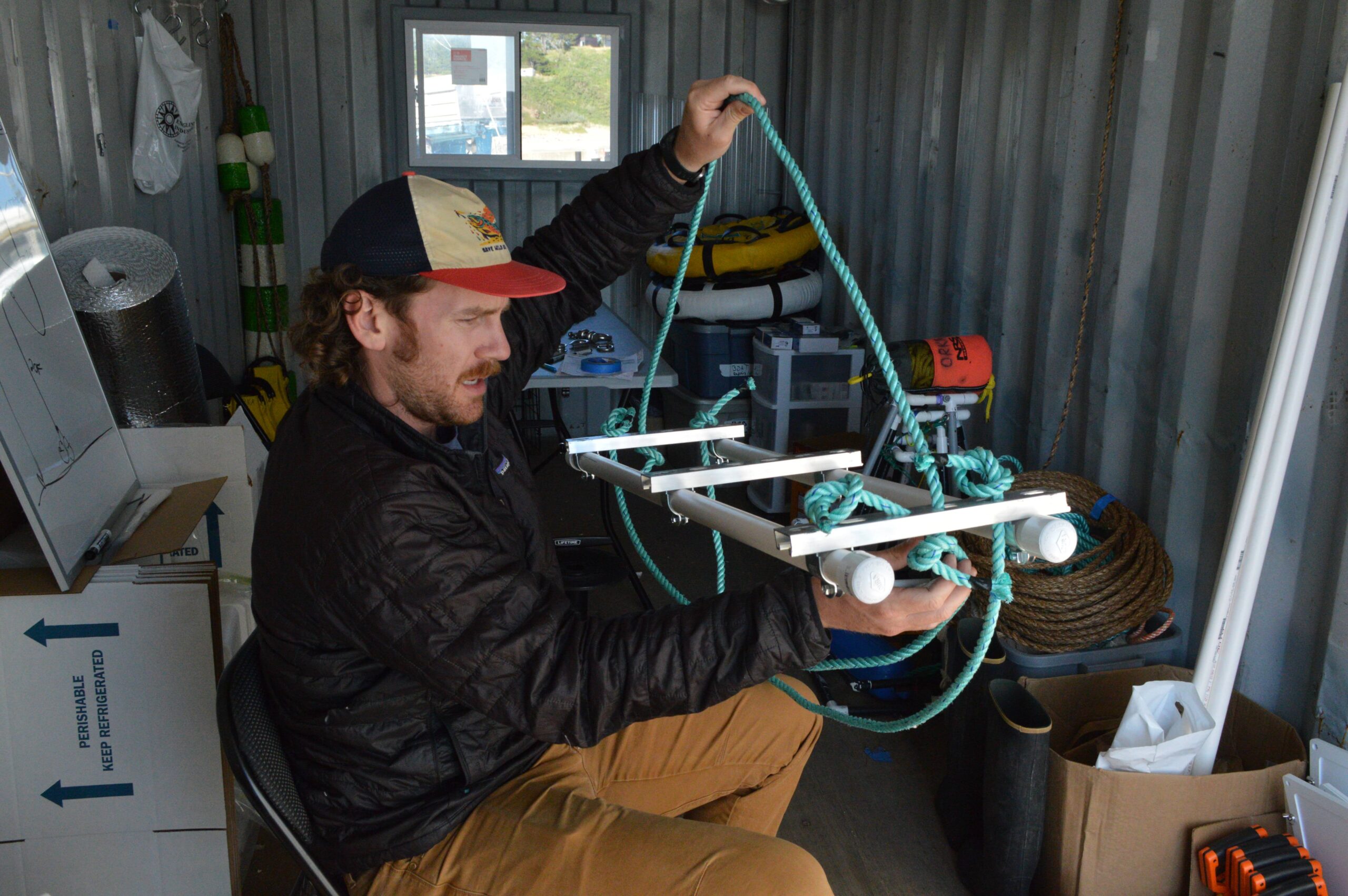 Read more about the article A Summer of ARKEVs